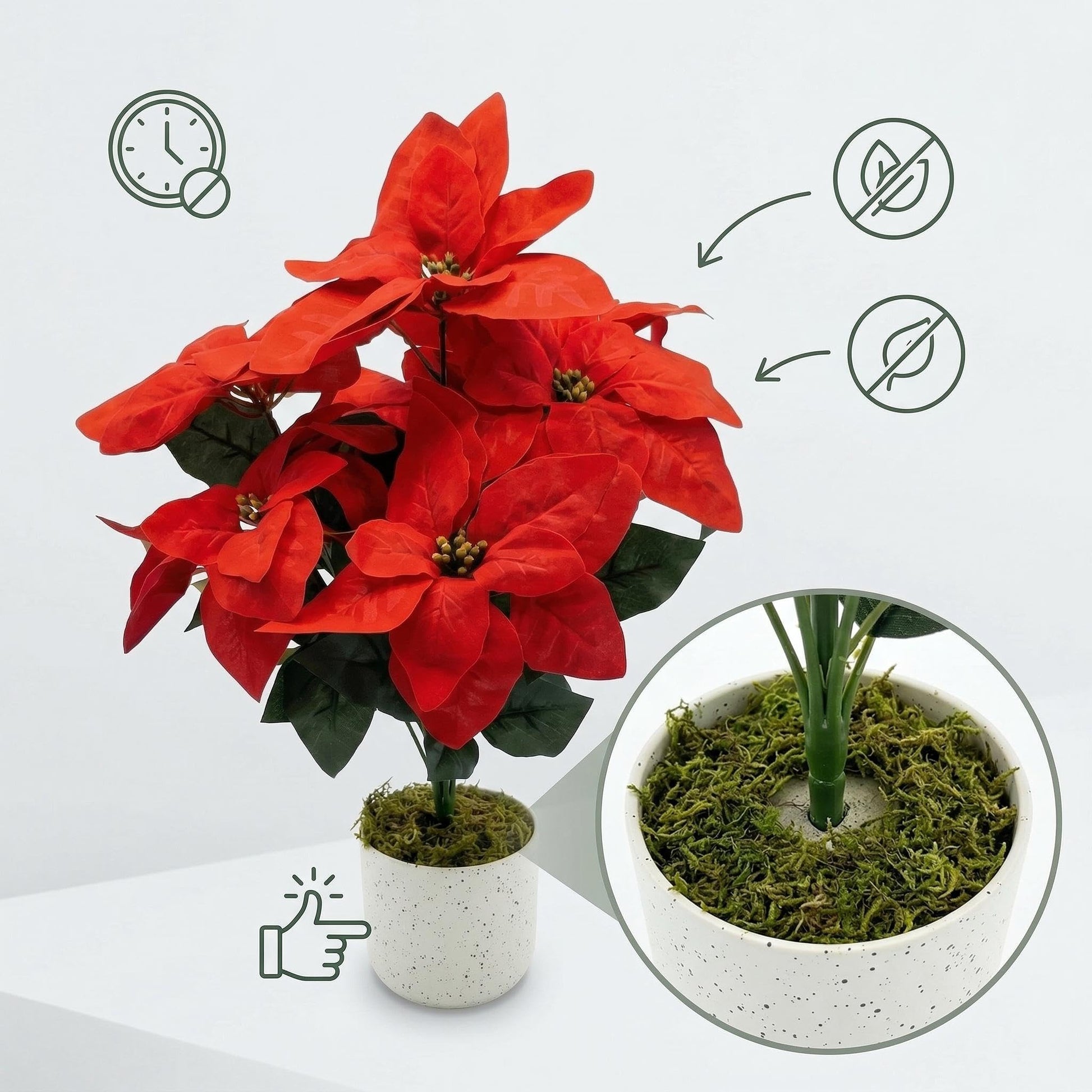 PHK_36FJHWJJ