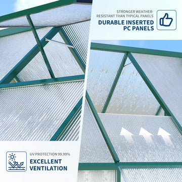 PPG_336T9ETD