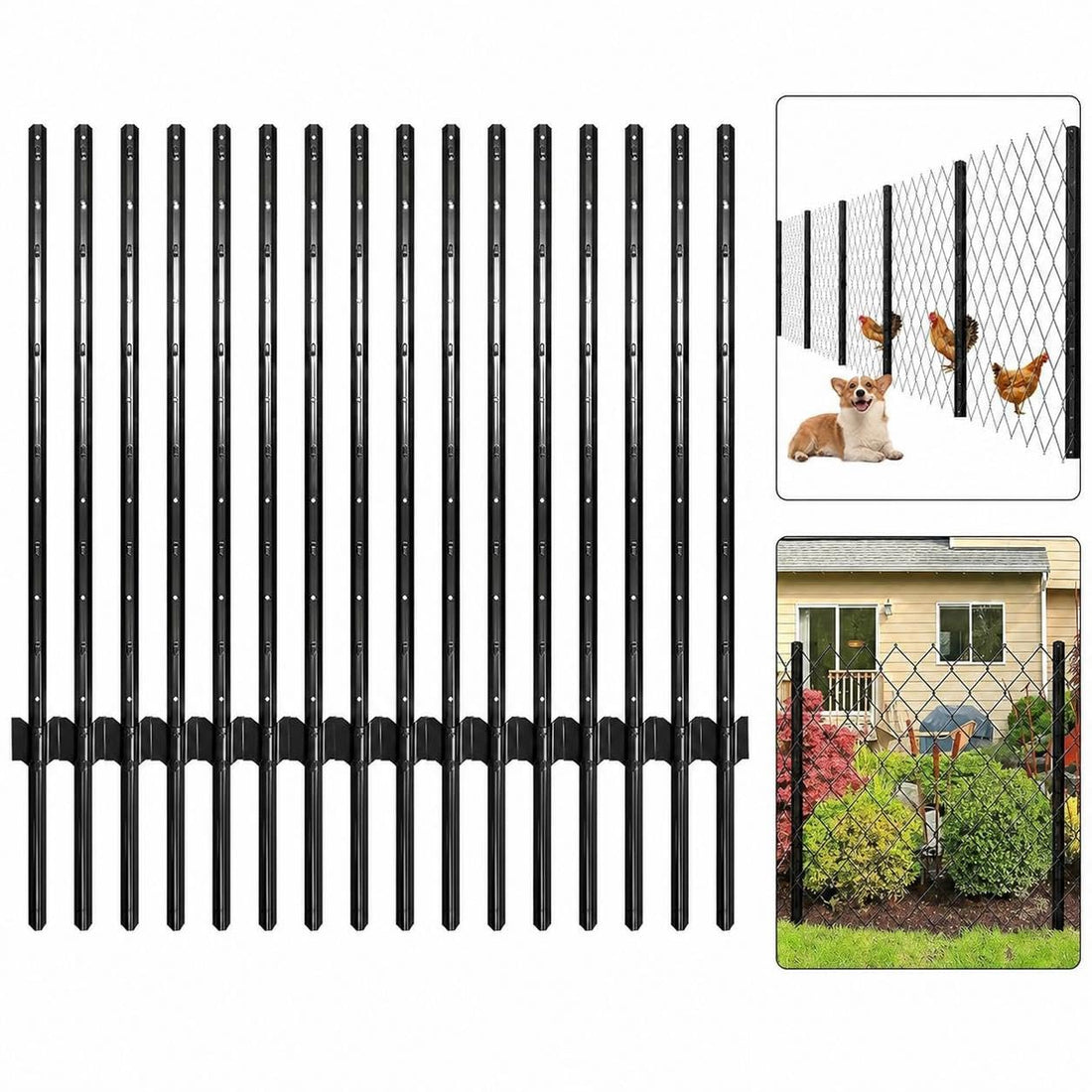 PPG_34Y453U6