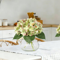PHK_374XDP4A