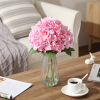 PHK_3754LUP6