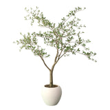 Garvee Artificial Black Olive Tree 5ft – Realistic Faux Plant with Natural Wood Trunk, Green Leaves, Low Maintenance Indoor Decor for Home, Living Room, Office – No Water Needed – 150cm White Belly Pot