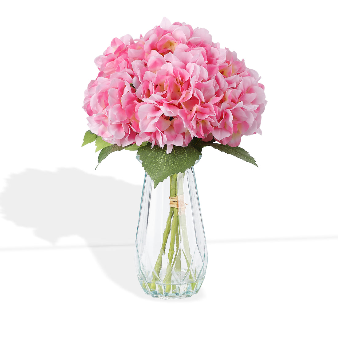PHK_3754LUP6