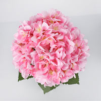 PHK_3754LUP6