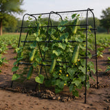 Garvee Heavy-Duty Metal Garden Arch Trellis for Raised Beds – Rust-Resistant, Tool-Easy Assembly, Supports Large Climbing Vegetables, Grapes & Roses – Sturdy U-Shape Plant Frame, Small Flower Pot Support 160*160